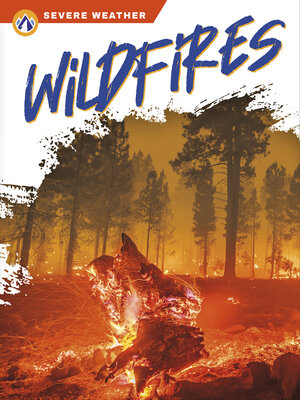 cover image of Wildfires